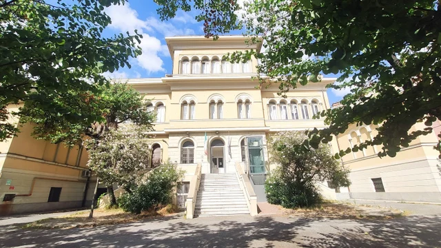 Musicamica, Il Quartiere tra musica e poesia